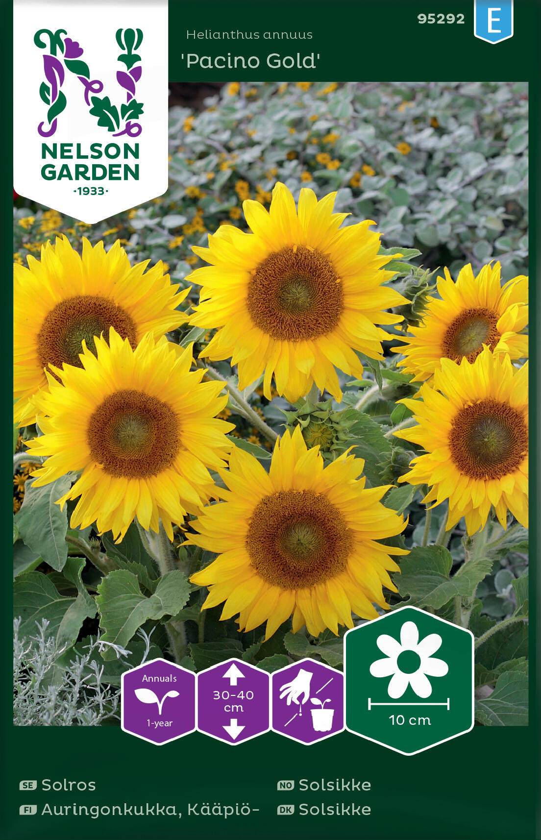 Solsikke 'Pacino Gold'